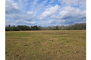 DEEN STILL RD, POLK CITY, FL 33868 Sold 02/28/25