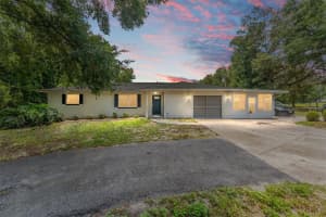 2439 GRIFFIN AVENUE, LADY LAKE, FL 32159 Sold 11/28/24