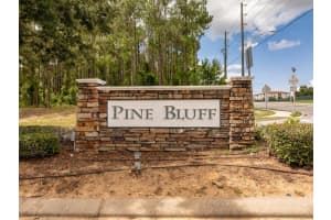 1105 FOX TRAIL AVENUE, MINNEOLA, FL 34715 Sold 10/17/24