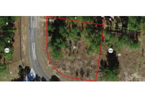 1235 HEMLOCK DRIVE, CITRUS SPRINGS, FL 34434 - MLS#MFRG5084421