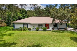 1005 TEMPLE AVENUE, HOWEY IN THE HILLS, FL 34737 Sold 09/27/24