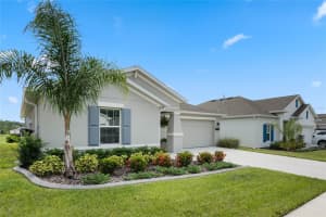 26062 BRISTLELEAF COURT, LEESBURG, FL 34748 Sold 03/14/25