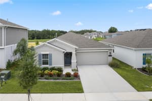 26062 BRISTLELEAF COURT, LEESBURG, FL 34748 Sold 03/14/25