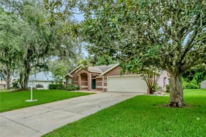 10136 SILVER BLUFF DRIVE, LEESBURG, FL 34788 Sold 10/03/24