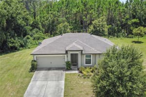 35820 ROSE MOSS AVENUE, LEESBURG, FL 34788 Sold 10/15/24