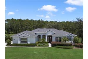 31306 SUNNY MEADOW COURT, LEESBURG, FL 34748 Sold 09/13/24