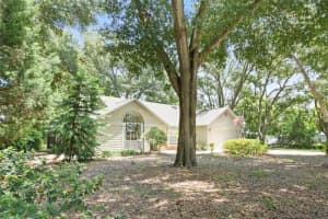 3909 LAKE FOREST STREET, MOUNT DORA, FL 32757 Sold 09/13/24