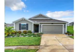 5324 TRAVERTINE STREET, MOUNT DORA, FL 32757 - MLS#MFRG5085344