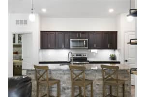 16475 BLOOMING CHERRY DRIVE, GROVELAND, FL 34736 Sold 12/13/24