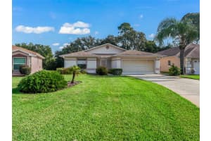 533 GRAND VISTA TRAIL, LEESBURG, FL 34748 Sold 07/28/25