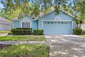 1711 STAFFORD SPRINGS BOULEVARD, MOUNT DORA, FL 32757 Sold 12/04/24
