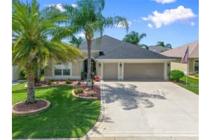 3434 NESTLEBRANCH AVENUE, THE VILLAGES, FL 32163 Sold 02/18/25