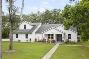 1136 Brick Rd, WINTER GARDEN