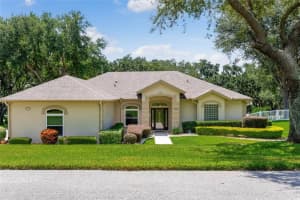 11132 HASKELL DRIVE, CLERMONT, FL 34711 Sold 10/15/24