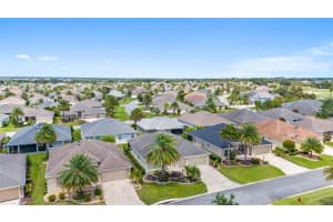 1353 OWL DRIVE, THE VILLAGES, FL 32163 Sold 12/03/24