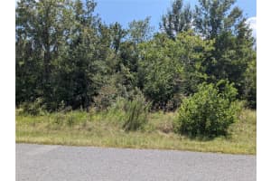 11555 59TH TERRACE, OCALA, FL 34476 Sold 11/22/24