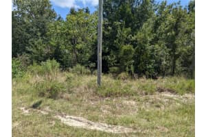 5952 116TH STREET ROAD, OCALA, FL 34476 Sold 11/22/24