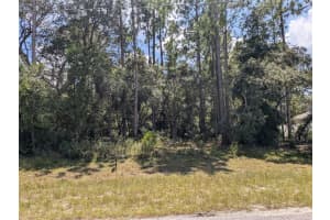 5952 116TH STREET ROAD, OCALA, FL 34476 Sold 11/22/24
