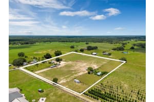 12960 COOPER ROAD, GROVELAND, FL 34736 Sold 12/17/24