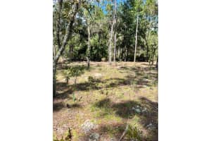 TBD 156TH COURT, OCALA, FL 34481 - MLS#MFRG5086265