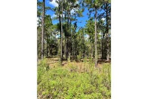 TBD 156TH COURT, OCALA, FL 34481 - MLS#MFRG5086265