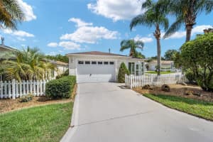 273 ROWESVILLE LANE, THE VILLAGES, FL 32162 Sold 01/24/25