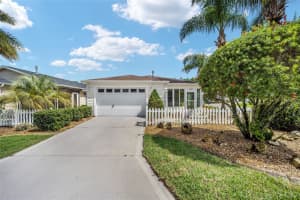 273 ROWESVILLE LANE, THE VILLAGES, FL 32162 Sold 01/24/25