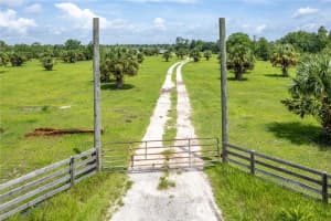 38311 STATE ROAD 19, UMATILLA, FL 32784 Sold 01/10/25