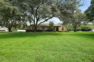 329 SPRING HOLLOW BOULEVARD, APOPKA, FL 32712 Sold 10/21/24