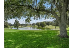 909 BARRYMOORE LOOP, THE VILLAGES, FL 32162 Sold 09/27/24