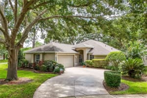6044 SPRING CREEK COURT, MOUNT DORA, FL 32757 Sold 11/22/24
