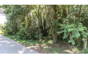 3RD ST, LEESBURG, FL 34748 - MLS#MFRG5086606
