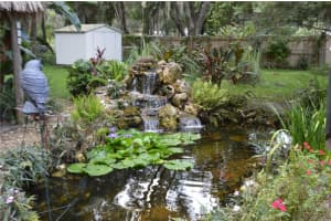 1311 MANDARIN LANE, FRUITLAND PARK, FL 34731 Sold 02/24/25