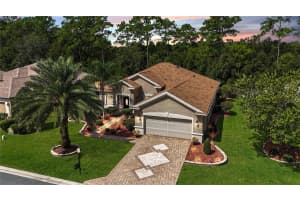 11892 91ST CIRCLE, SUMMERFIELD, FL 34491 Sold 01/10/25