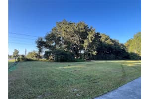 1225 LEWIS ROAD, LEESBURG, FL 34748 Sold 12/02/24