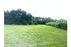 MLS# MFRG5087496, Groveland, Florida 34736
