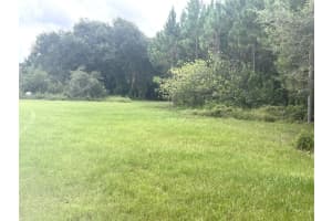 MLS# MFRG5087496, Groveland, Florida 34736
