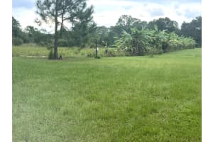 MLS# MFRG5087496, Groveland, Florida 34736