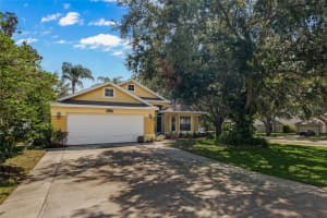 10228 PATRICK DRIVE, LEESBURG, FL 34788 Sold 11/28/24