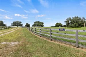 8635 COUNTY ROAD 561, CLERMONT, FL 34711 Sold 12/13/24