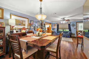 205 JOSEPHINE AVENUE, FRUITLAND PARK, FL 34731 Sold 04/22/25