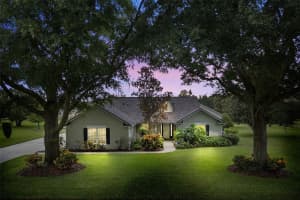 7829 LAUREL VIEW DRIVE, MOUNT DORA, FL 32757 Sold 11/21/24