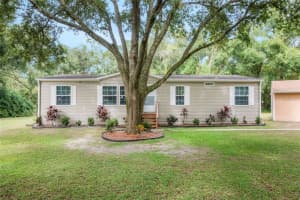 38521 LAKEVIEW DRIVE, LADY LAKE, FL 32159 Sold 03/21/25