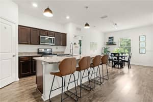 16345 BLOOMING CHERRY DRIVE, GROVELAND, FL 34736 Sold 02/27/25