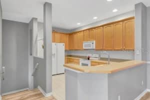 17307 PROMENADE DRIVE, CLERMONT, FL 34711 Sold 12/31/24