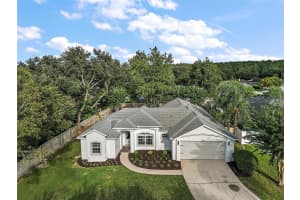1050 HIGH RIDGE COURT, MINNEOLA, FL 34715 Sold 03/03/25