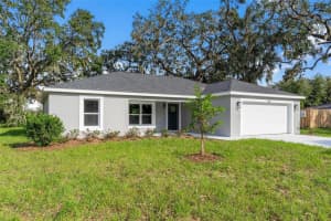 1366 PETERS DRIVE, LEESBURG, FL 34748 Sold 04/11/25