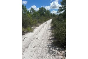 2228 CARLA AVENUE, SEBRING, FL 33875 - MLS#MFRG5087926