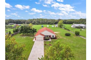 8222 Florida Boys Ranch Rd, GROVELAND