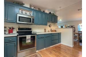3405 MYAKKA RIVER ROAD, TAVARES, FL 32778 Sold 12/16/24